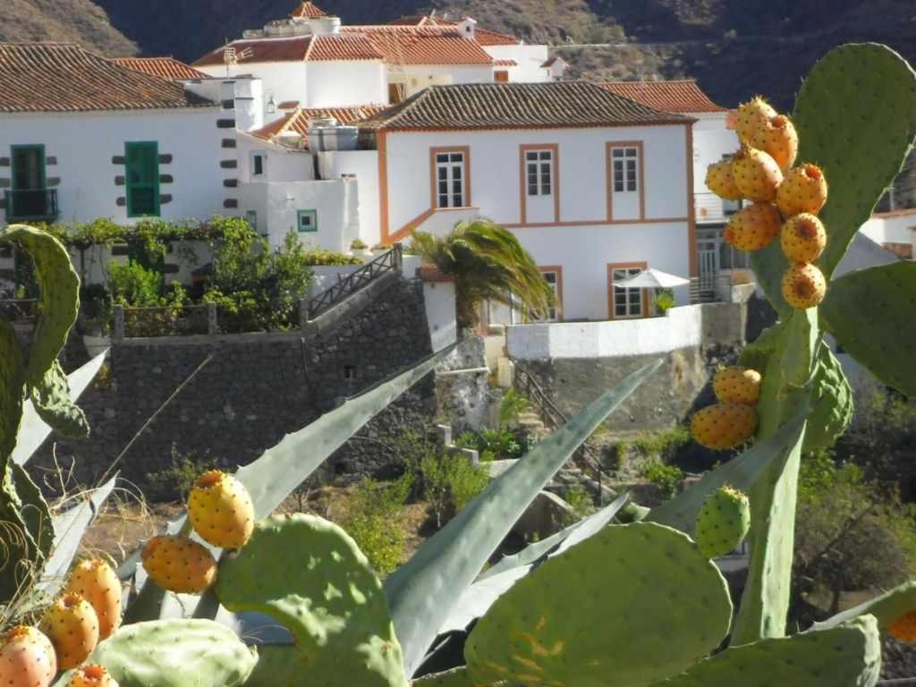 Casa Rural Las Cascaras Tejeda Gran Canaria Villa Екстериор снимка