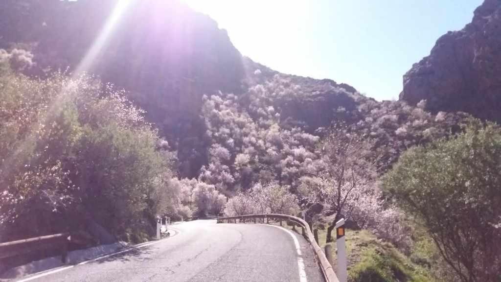 Casa Rural Las Cascaras Tejeda Gran Canaria Villa Екстериор снимка